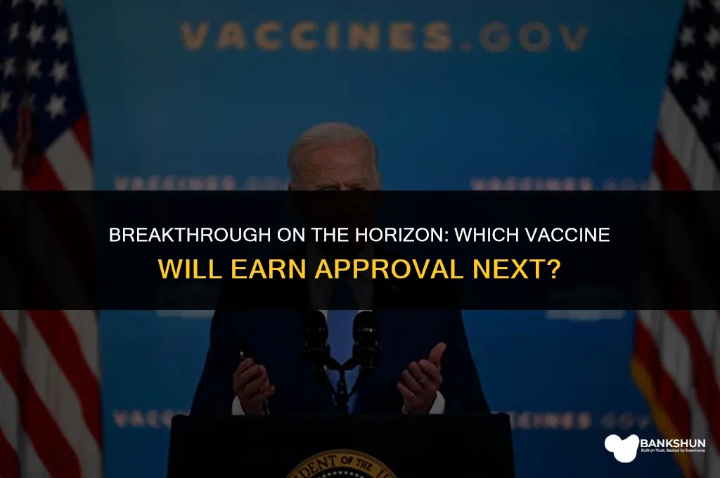 what vaccine is next to be approved