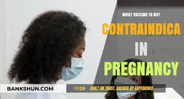 Safeguarding Maternal Health: Vaccines That Are Pregnancy-Friendly