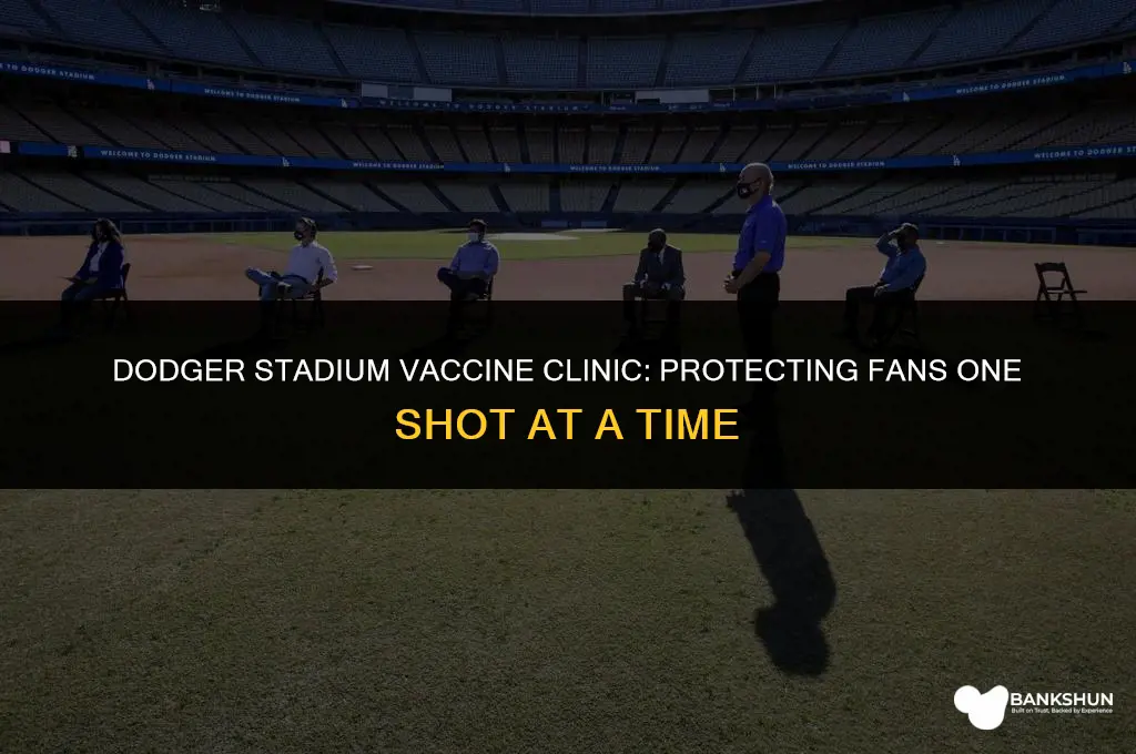 what vaccine is offered at dodger stadium