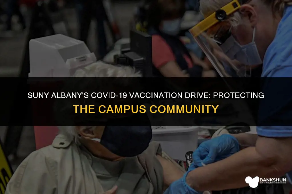 what vaccine is suny albany giving out