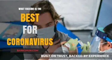 Decoding the Best COVID-19 Vaccine: A Comprehensive Guide