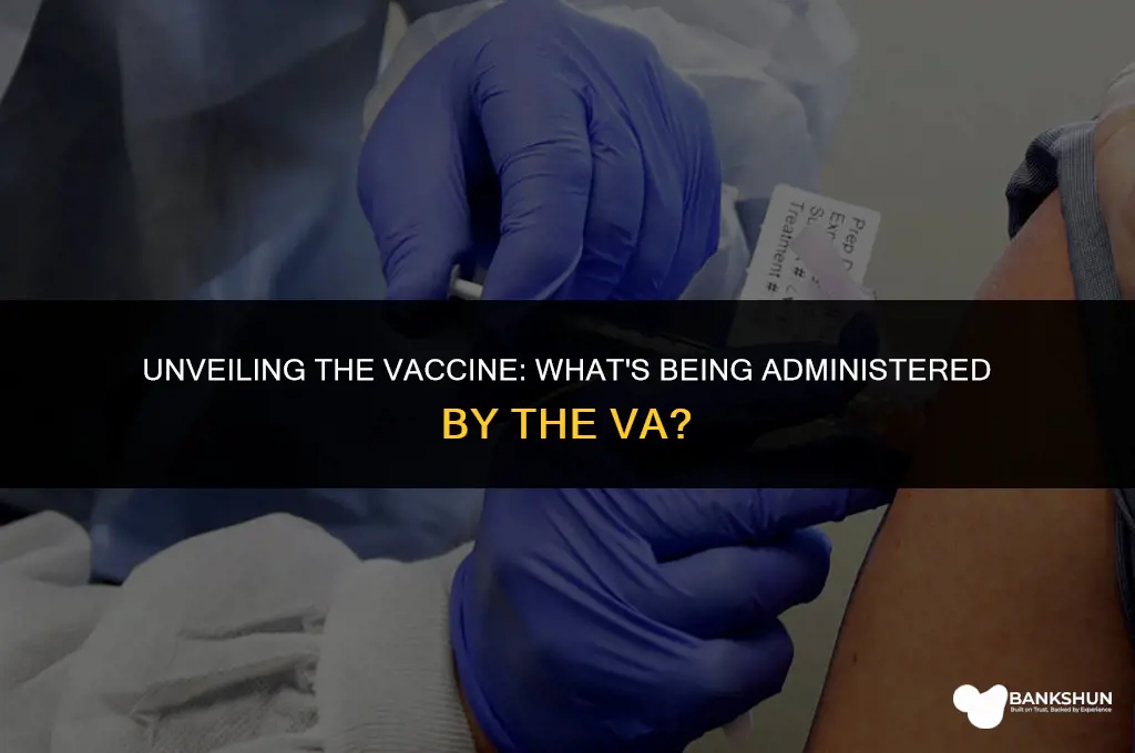 what vaccine is the va giving out