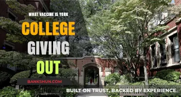 York College's COVID-19 Vaccination Drive: Protecting Our Community