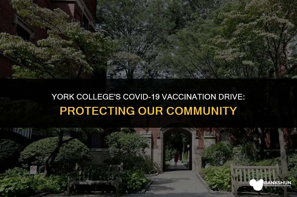 what vaccine is york college giving out