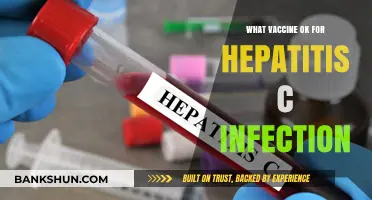 Exploring Effective Vaccines for Hepatitis C Infection