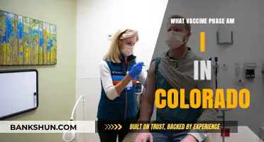 Colorado's Vaccine Rollout: Which Phase Are You In?