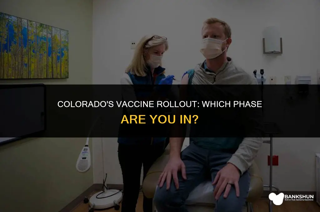 what vaccine phase am i in colorado