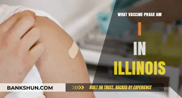 Understanding Your COVID-19 Vaccine Phase in Illinois: A Guide