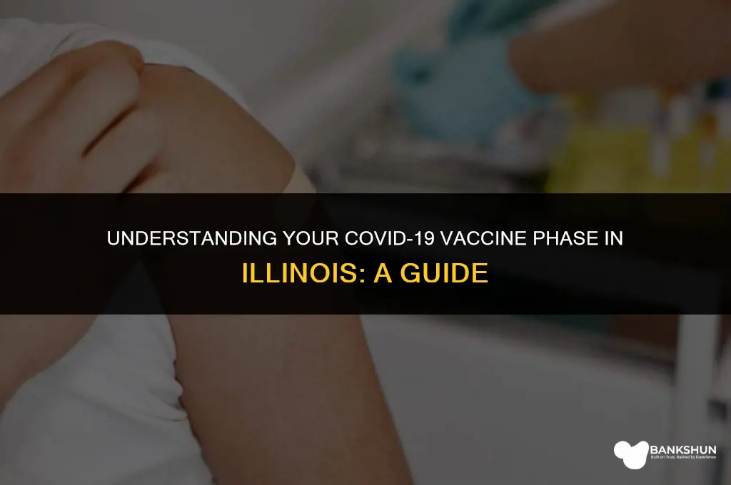 what vaccine phase am i in illinois