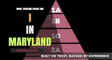 Understanding Your COVID-19 Vaccine Phase in Maryland: A Guide