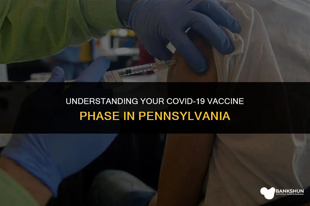 what vaccine phase am i in pa