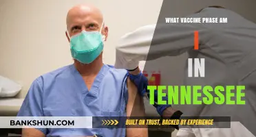 Understanding Your COVID-19 Vaccine Phase in Tennessee: A Guide