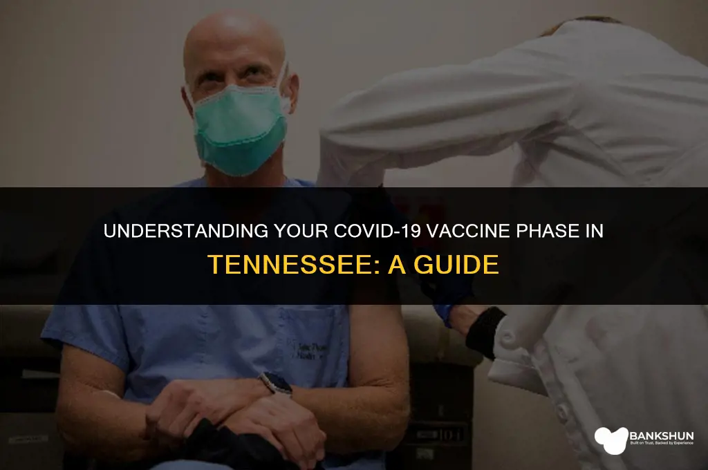 what vaccine phase am i in tennessee