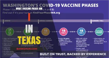 Understanding Your COVID-19 Vaccine Phase in Texas: A Guide