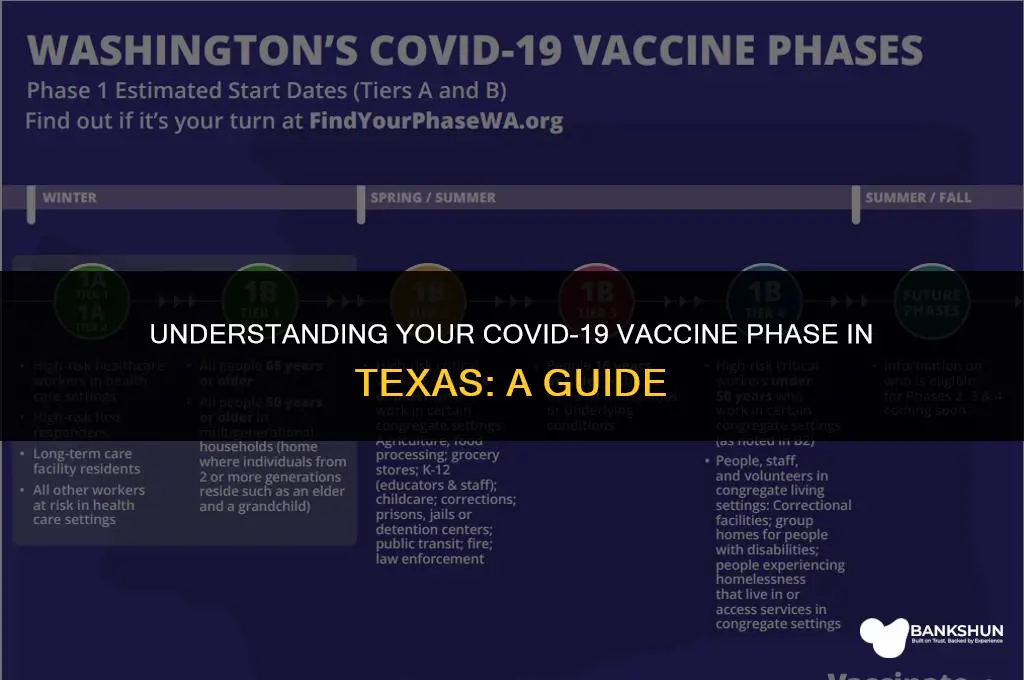 what vaccine phase am i in texas