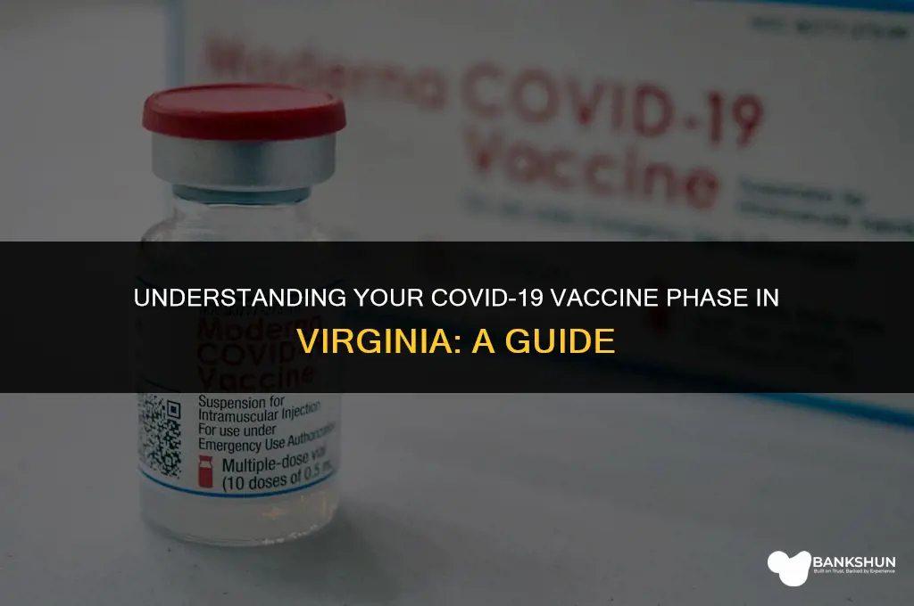 what vaccine phase am i in virginia