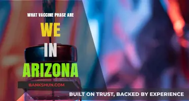 Arizona's Vaccine Progress: Current Phase and Future Outlook