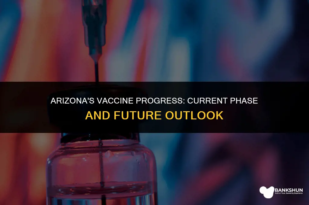 what vaccine phase are we in arizona