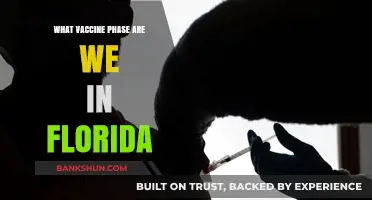Florida's Vaccine Progress: Understanding the Current Phase and What's Next