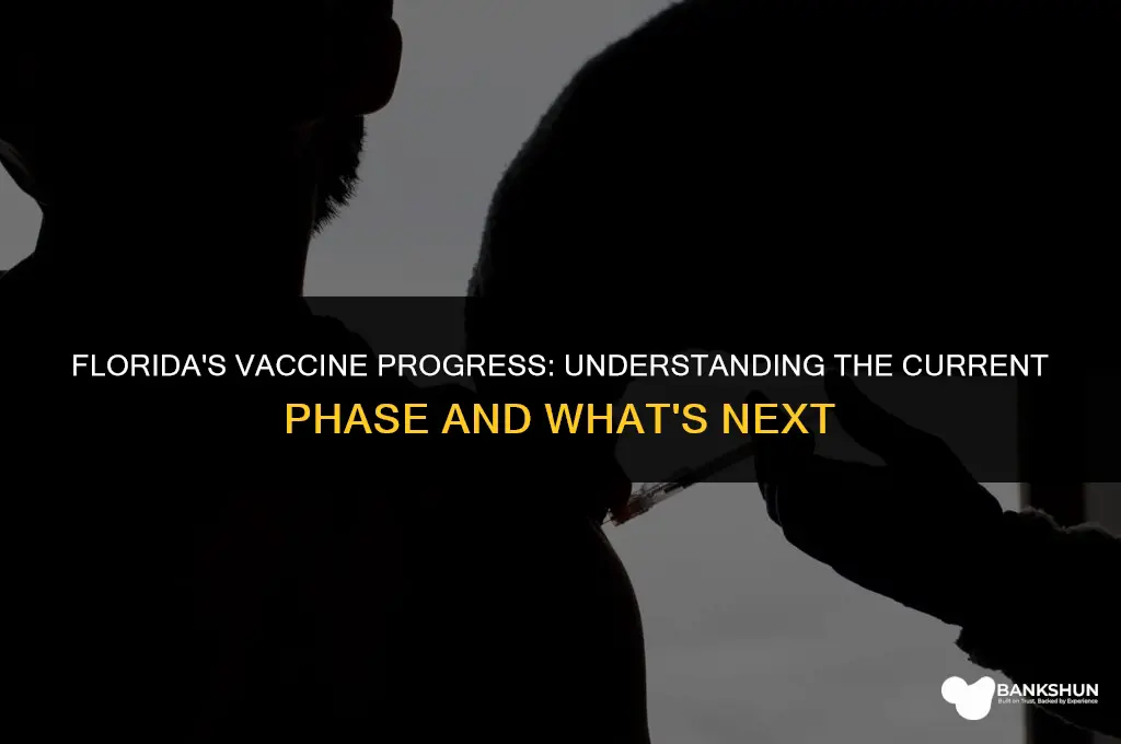 what vaccine phase are we in florida