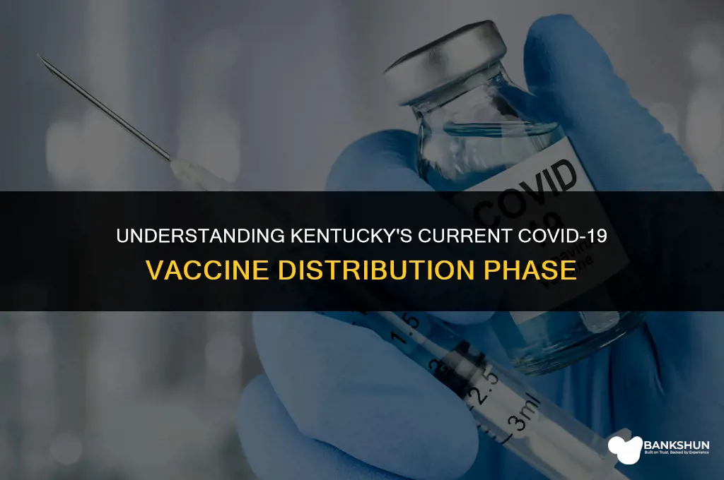 what vaccine phase are we in ky