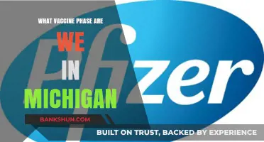 Michigan's Vaccine Progress: Current Phase and Future Outlook