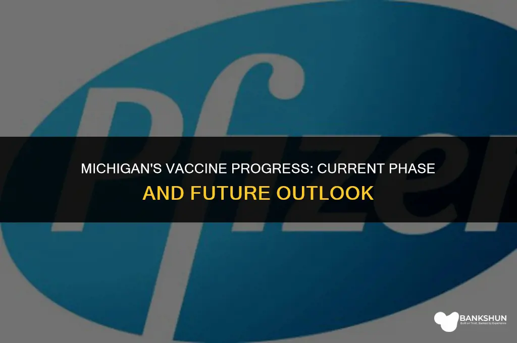what vaccine phase are we in michigan