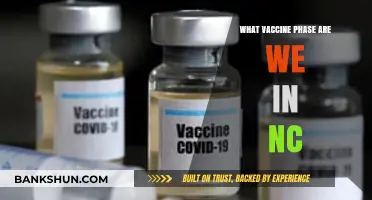 Understanding North Carolina's Current Vaccine Phase: A Comprehensive Guide