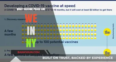 Decoding COVID-19 Vaccine Phases in New York: Where Do We Stand?