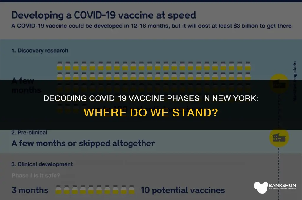 what vaccine phase are we in ny
