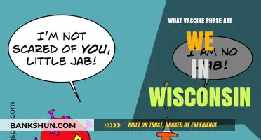 Wisconsin's Vaccine Progress: Current Phase and Future Outlook