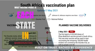 Decoding the Vaccine Rollout: A State-by-State Phase Breakdown