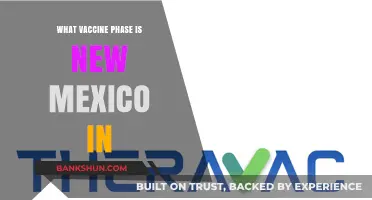 New Mexico's Vaccine Progress: Current Phase and Future Outlook