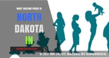 North Dakota's Vaccine Rollout: Current Phase and Progress Update