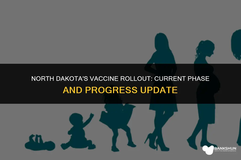 what vaccine phase is north dakota in