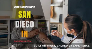 San Diego's Vaccine Progress: Current Phase and What's Next