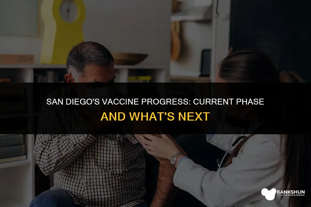 what vaccine phase is san diego in