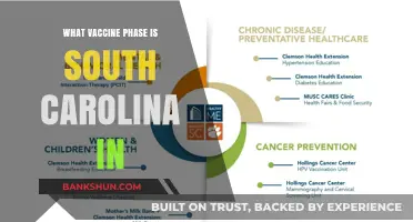 South Carolina's Vaccine Rollout: Current Phase and Updates