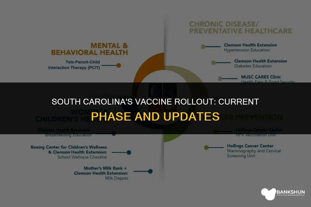 what vaccine phase is south carolina in