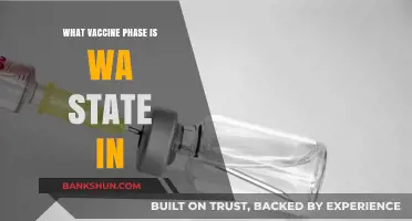 Washington State's Vaccine Rollout: Current Phase and Progress Update