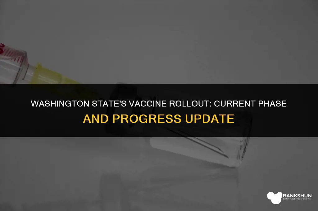 what vaccine phase is wa state in