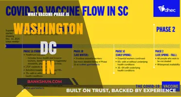 Decoding the Vaccine Rollout: Where Does Washington DC Stand?