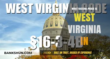 West Virginia's Vaccine Rollout: Current Phase and Progress Update