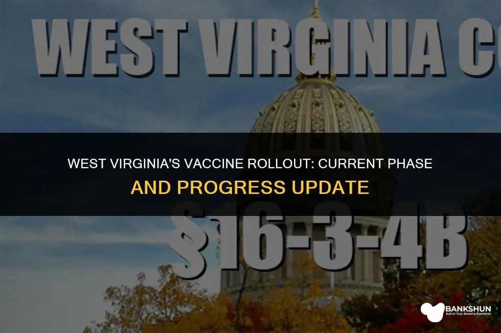 what vaccine phase is west virginia in