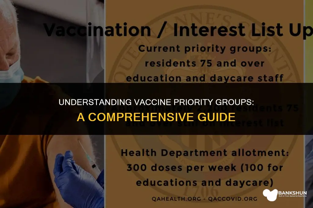 what vaccine priority group am i in