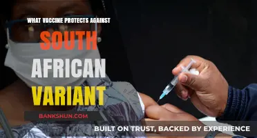 Combatting the South African Variant: Which Vaccine Offers Protection?