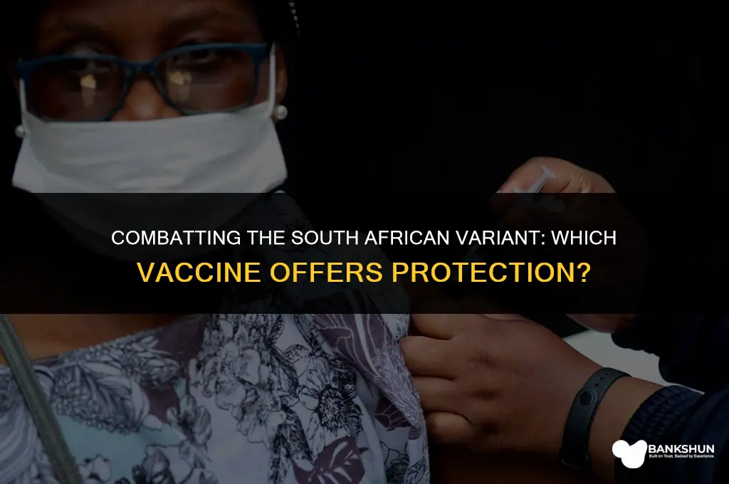what vaccine protects against south african variant