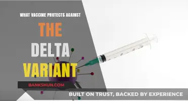 Combatting Delta: The Essential Vaccine Guide for Protection