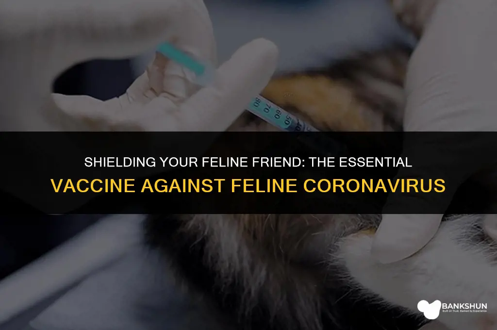 what vaccine protects cats from feline coronavirus