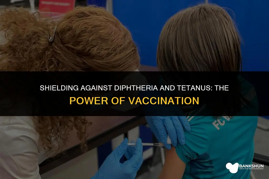what vaccine protects from diphtheria and tetanus